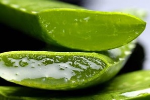 Los mejores secretos de belleza con Aloe&nbsp;Vera