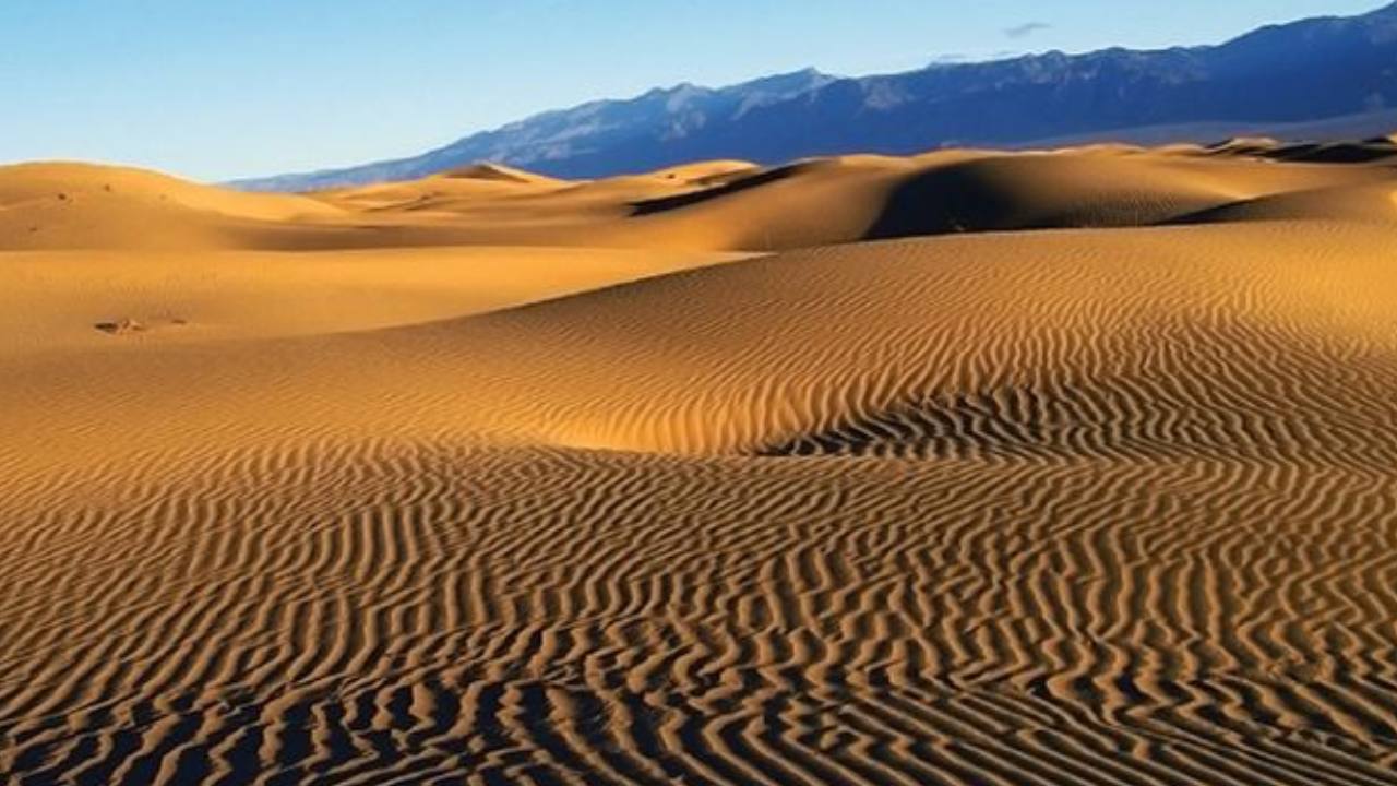 Nominan a las Dunas de Samalayuca a los premios “Lo Mejor de México”