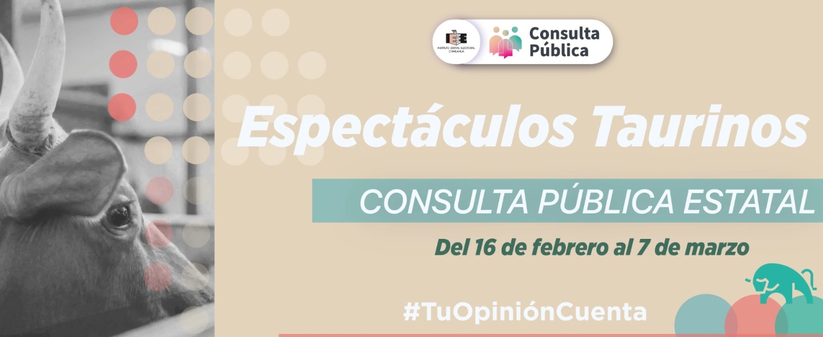 Participa en la Consulta Pública sobre espectáculos taurinos
