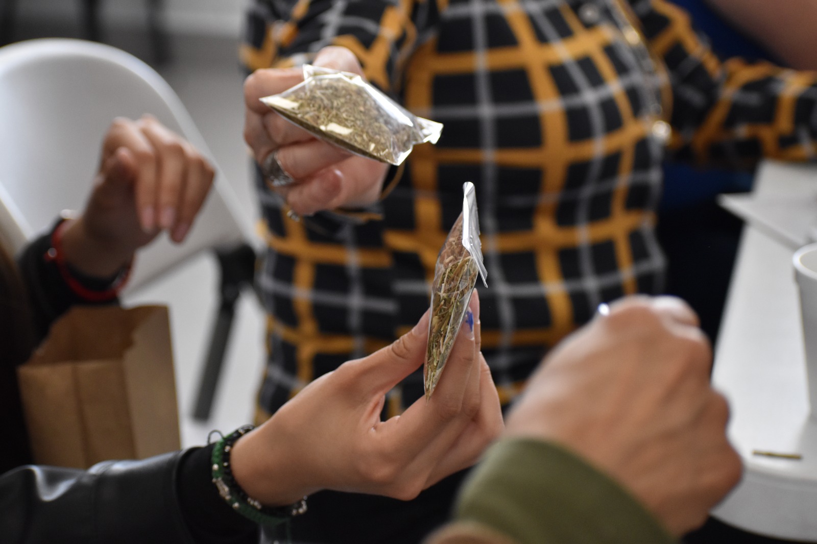 Revelan secretos de la herbolaria ralámuli en taller de IMM