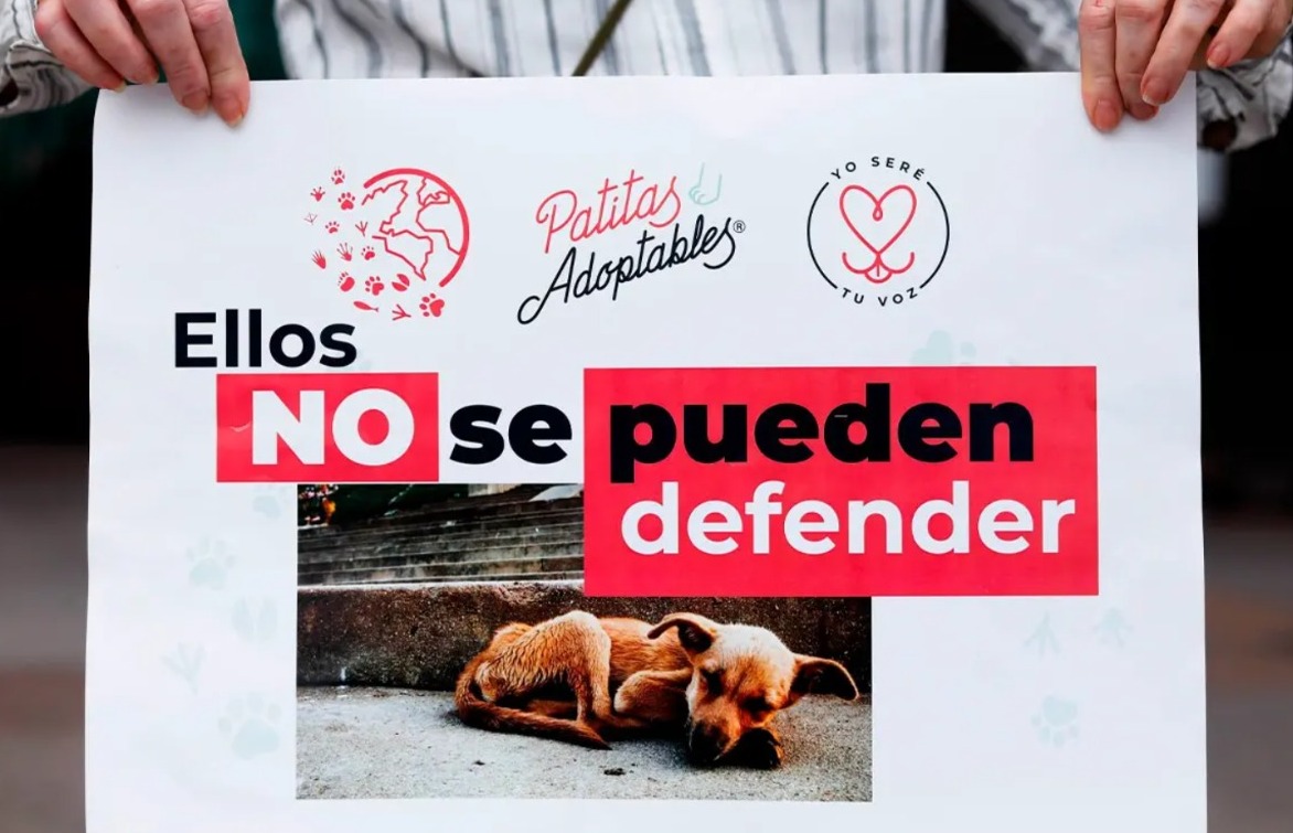 Convocan a marcha por los animales en CDMX
