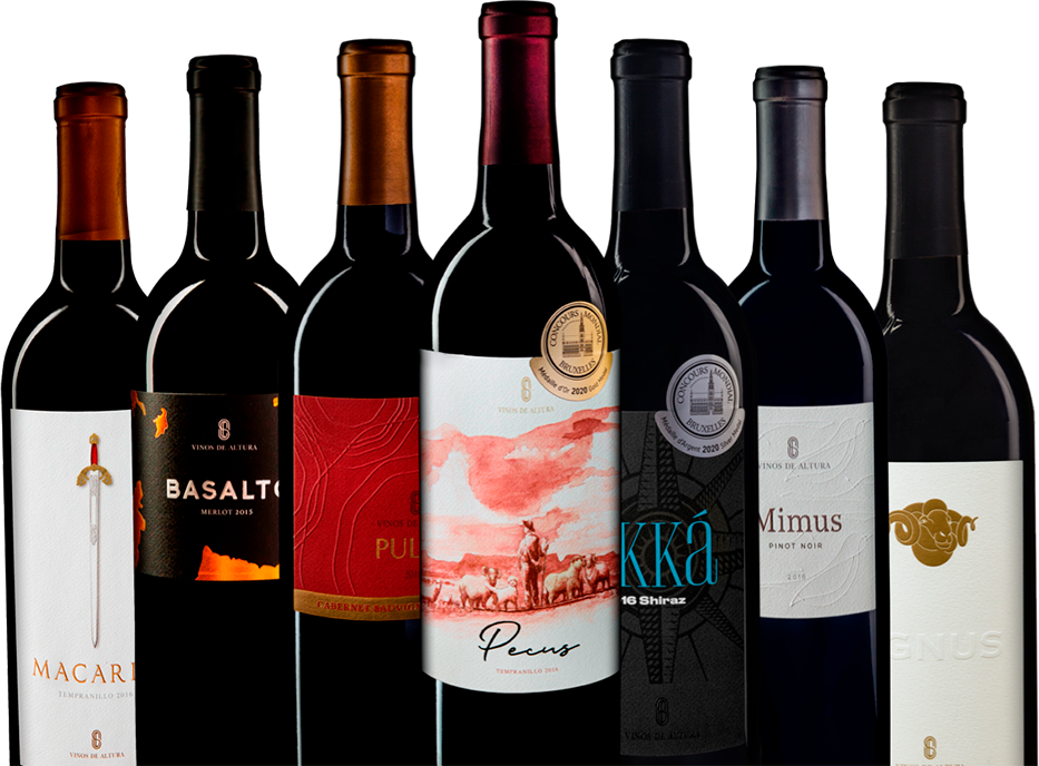 Chihuahua destaca en producción de vino a nivel nacional