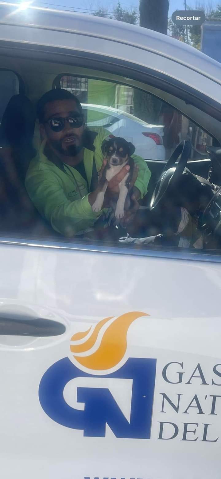 MUJER ABANDONA CRUELMENTE A CACHORRITO