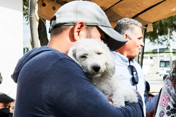 HABRÁ ESTERILIZACIONES GRATUITAS
