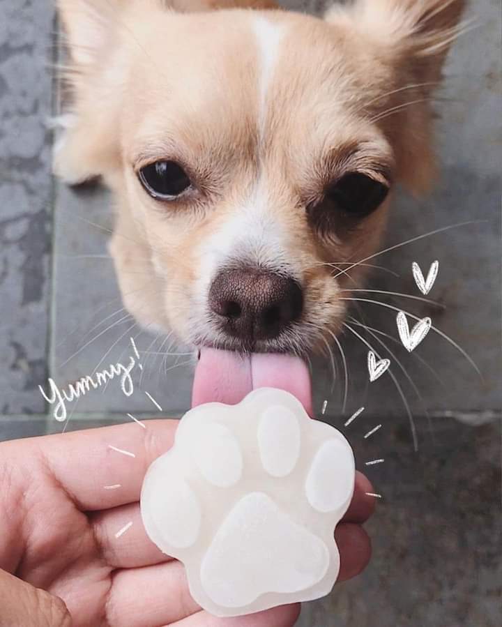 VENTA DE PALETITAS CON CAUSA