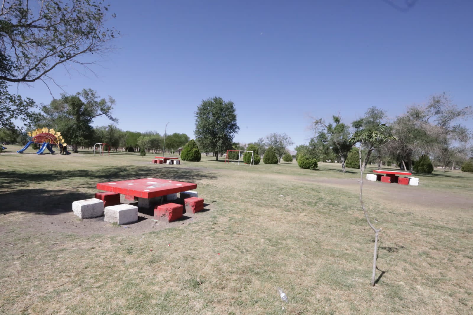 NI CUATRIMOTOS NI&nbsp;MOTOCICLETAS