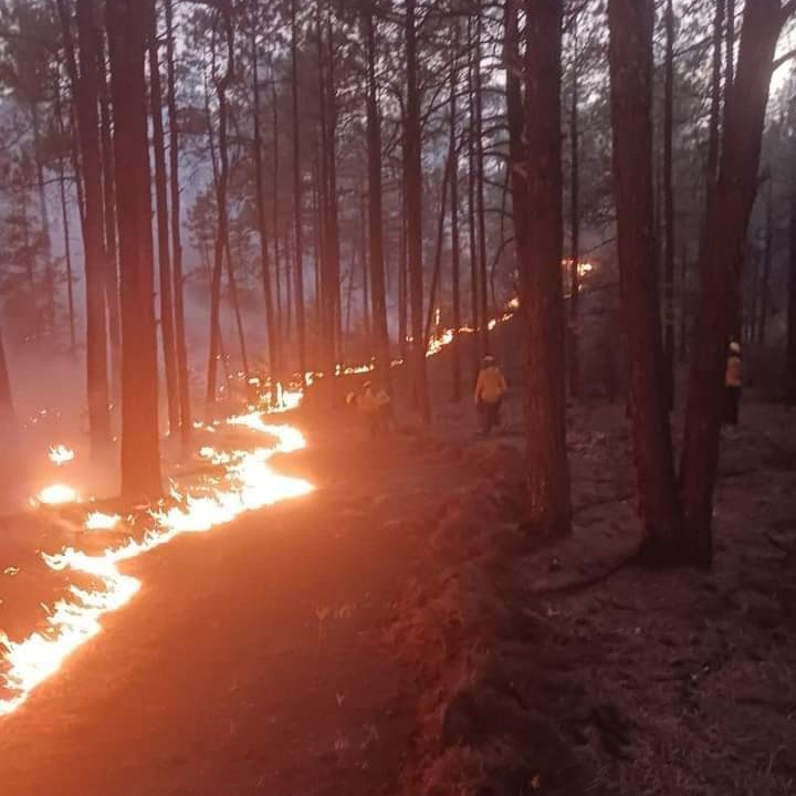 EMERGENCIA AMBIENTAL EN LA SIERRA&nbsp;TARAHUMARA