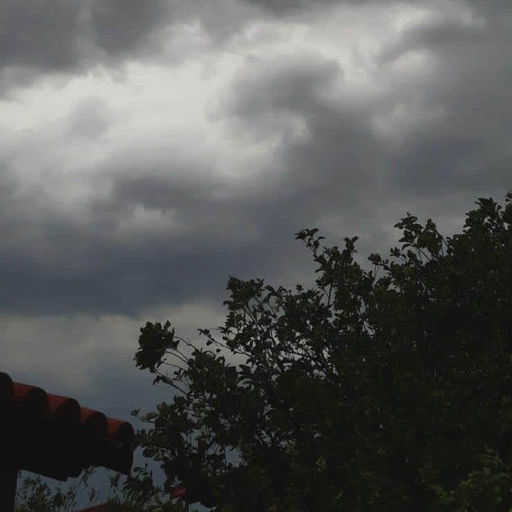 VIERNES NUBLADITO, SE DISFRUTA CON&nbsp;PANECITO