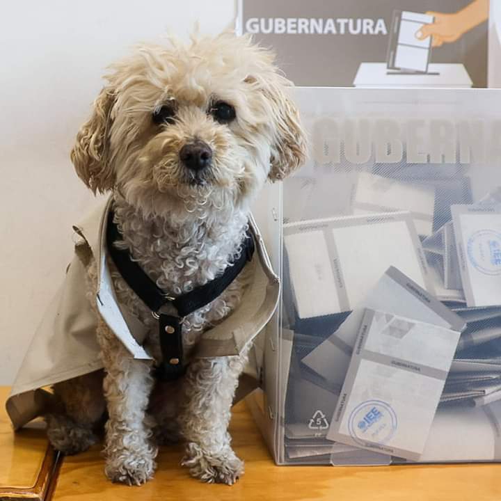 UNA TIERNA FUNCIONARIA&nbsp;PERRUNA