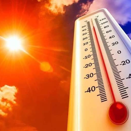ALERTA ANTE ALTAS TEMPERATURAS