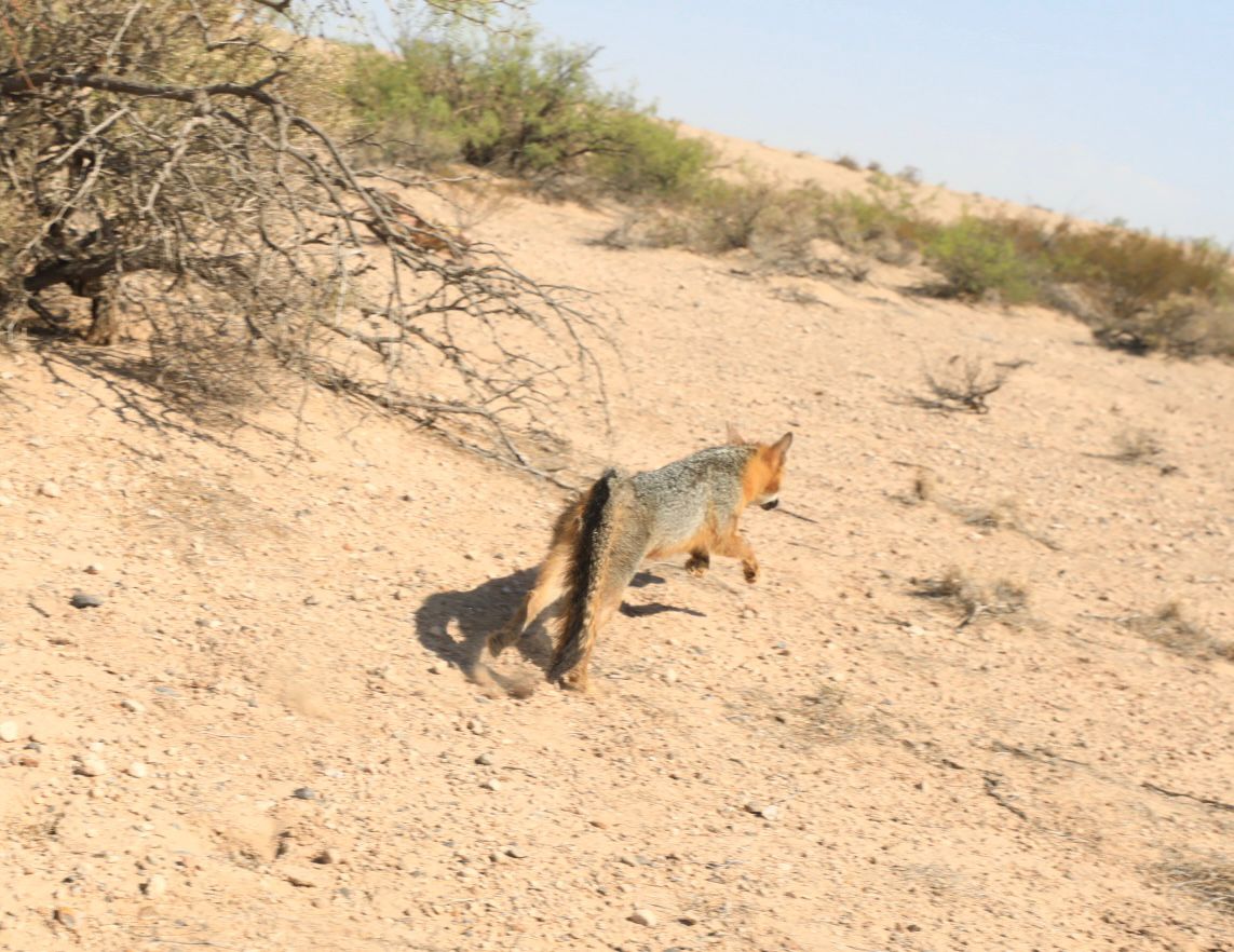 HOY REGRESÓ A SU HÁBITAT&nbsp;NATURAL.