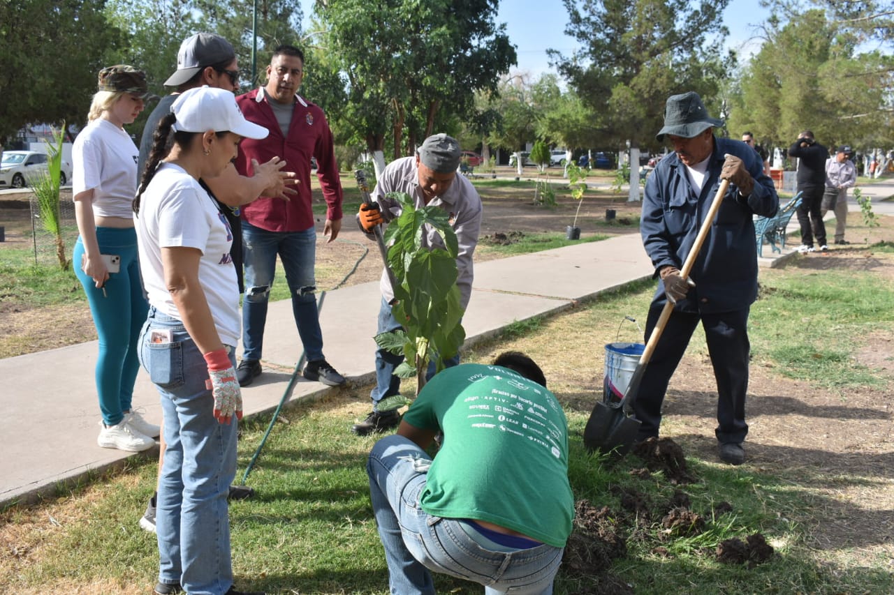 MÁS DE 30 ÁRBOLES FUERON PLANTADOS EN NUESTRA FRONTERA.