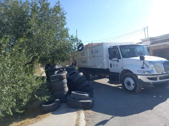 MEDIA TONELADA DE LLANTAS FUERON RECOGIDAS DE LA COLONIA SALVARCAR.