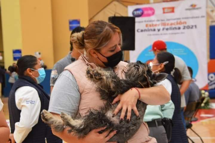 HABRÁ JORNADA DE ESTERILIZACIÓN MASIVA ESTE VIERNES.