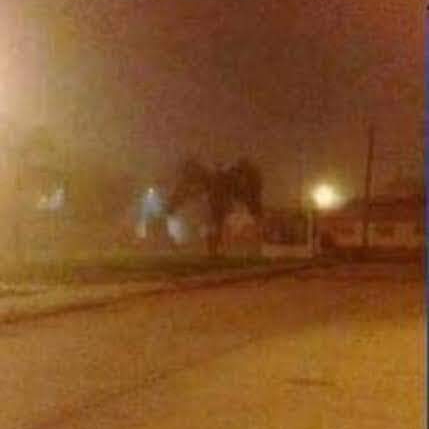 ASEGURAN AVER VISTO AL HOMBRE&nbsp;POLILLA