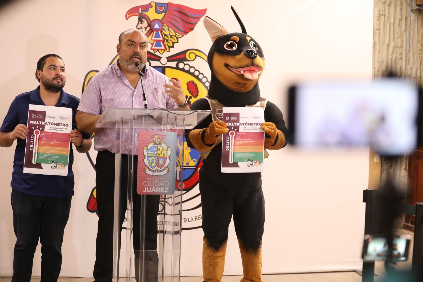 TOMAN MEDIDAS PARA IMPEDIR EL MALTRATO ANIMAL.