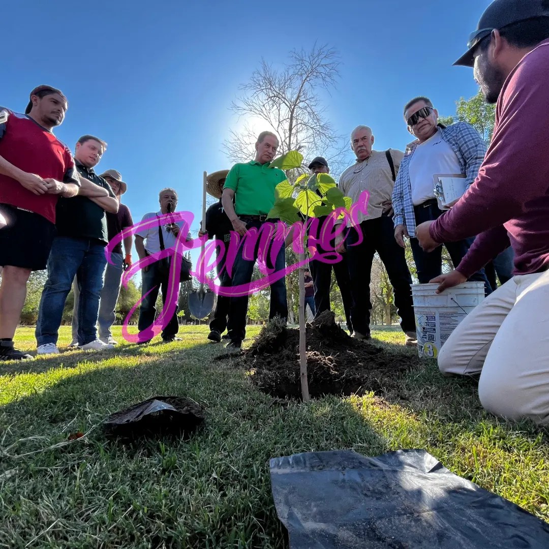 ARRANCA JORNADA DE REFORESTACIÓN EN LA&nbsp;CIUDAD.