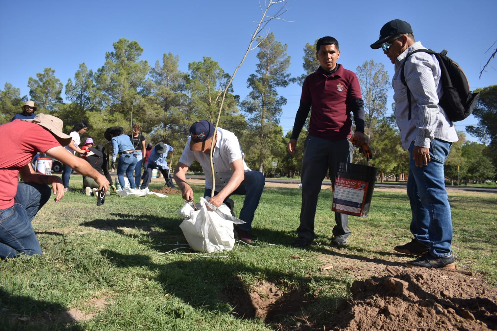 REFORESTAN EL CHAMIZAL CON 800 ÁRBOLES.