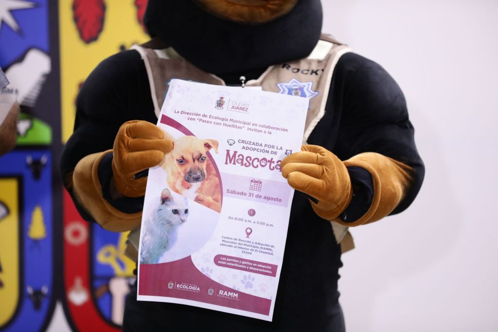 INVITAN A ADOPTAR UNA MASCOTA ESTE&nbsp;SABADO.