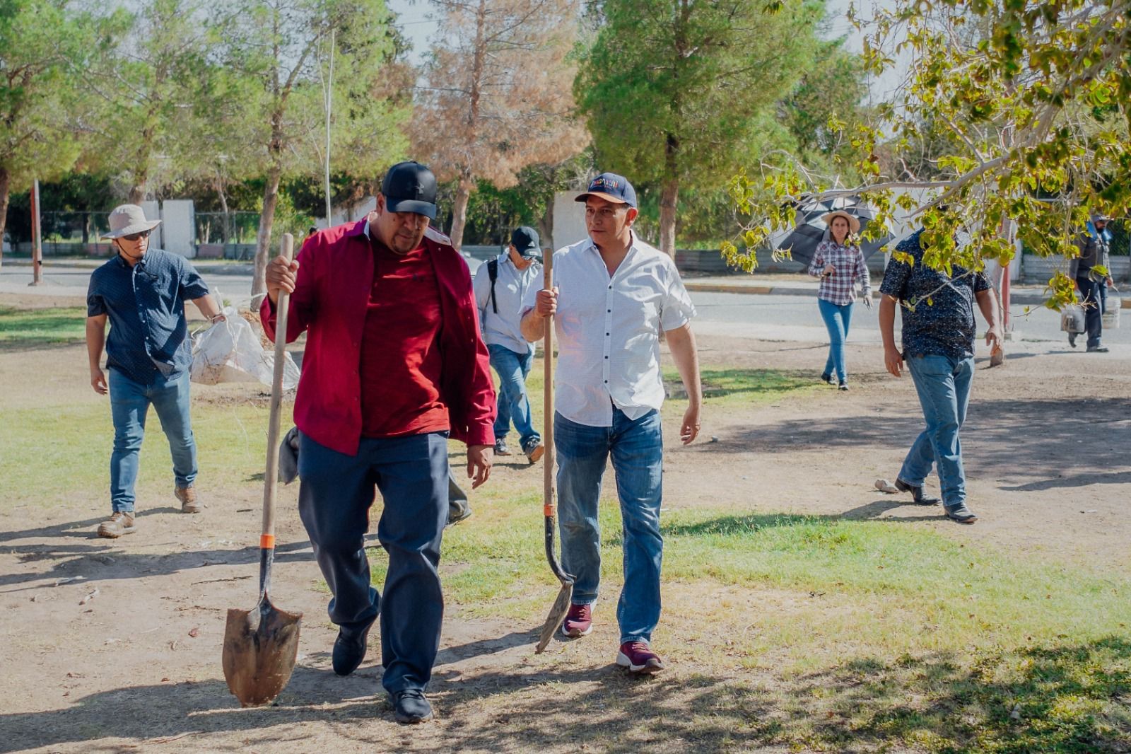 CONTINÚAN REFORESTANDO EL CHAMIZAL.