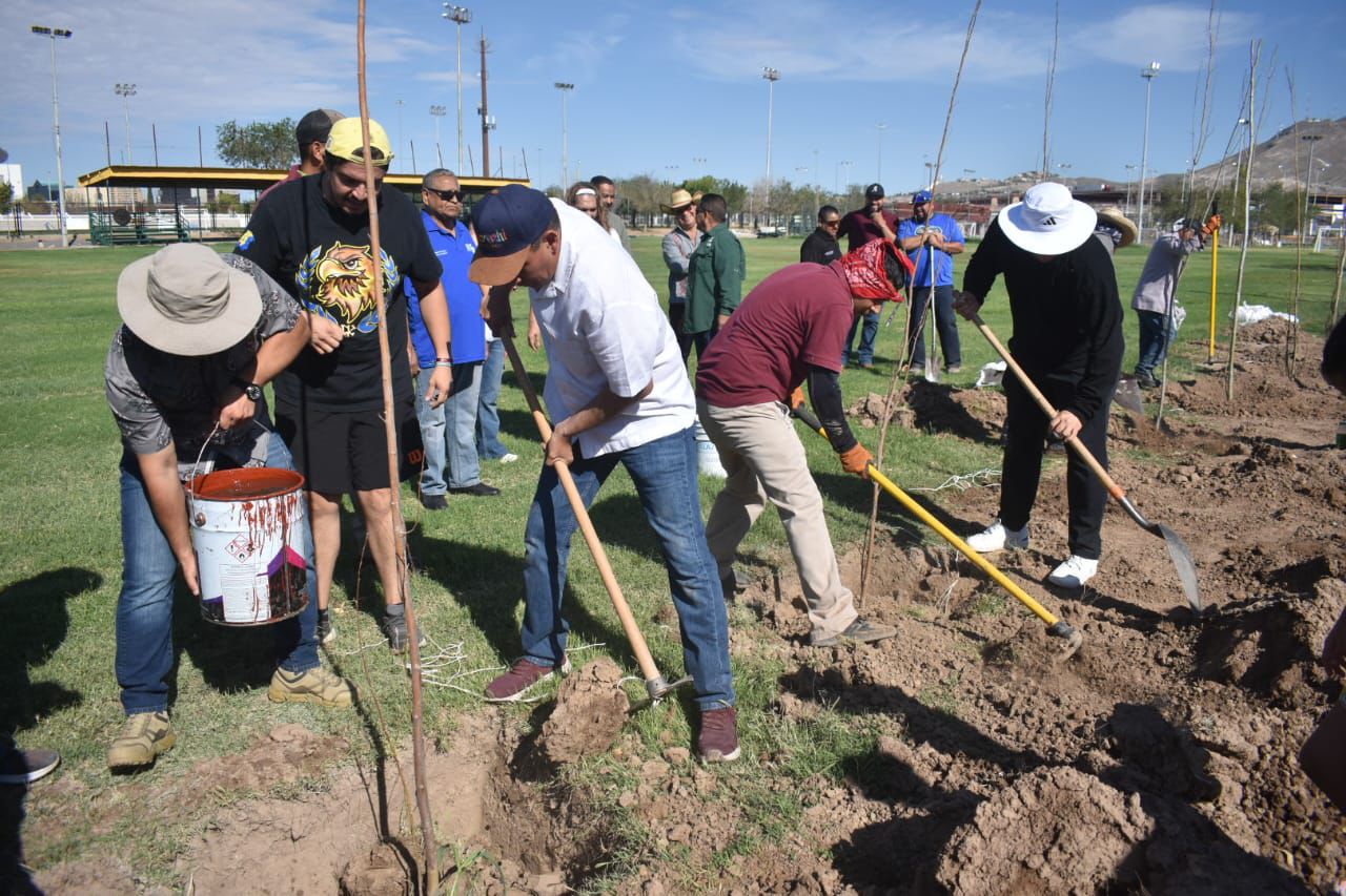 OTROS 50 ÁRBOLES MÁS EN EL&nbsp;CHAMIZAL.