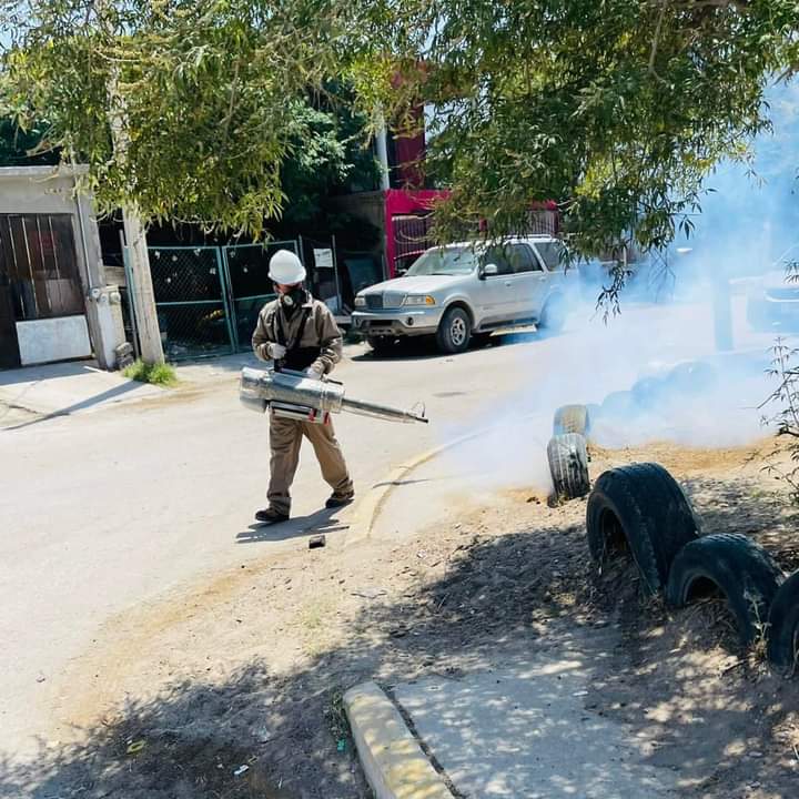 PROTEGE A TU FAMILIA DE LAS&nbsp;PLAGAS.&nbsp;