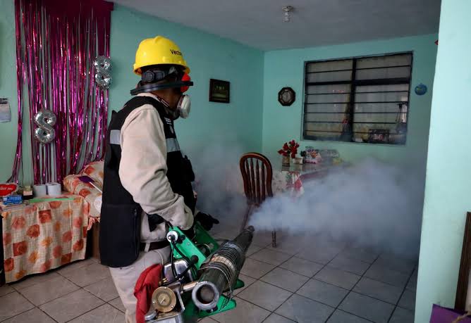 ¡ALERTA EN JUÁREZ POR CASOS DE DENGUE!🦟🦠🚨