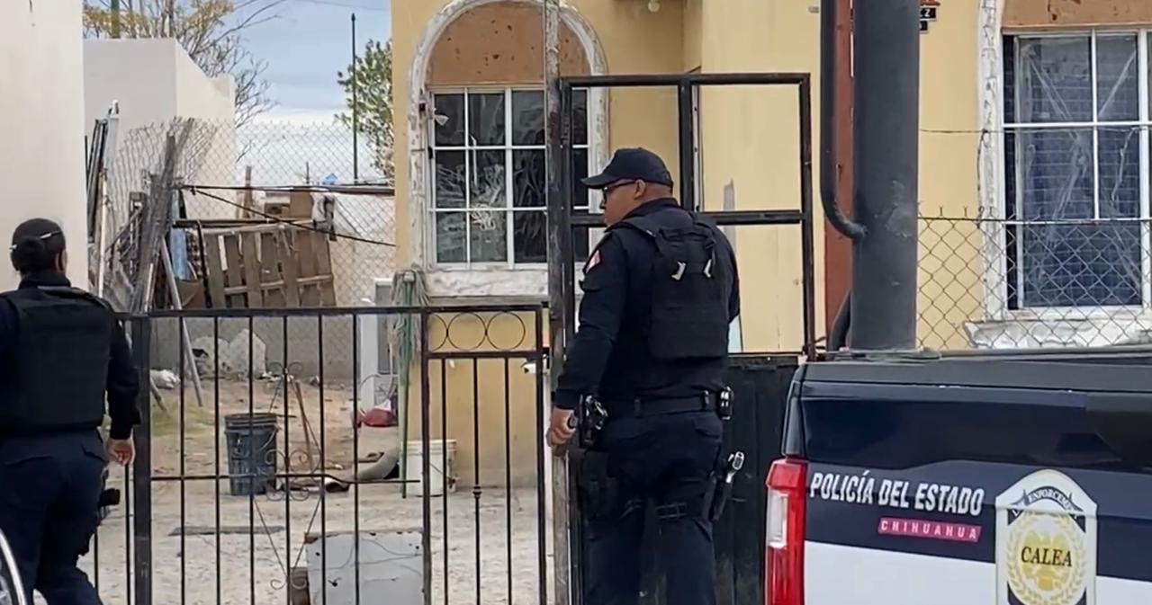 ¡PITBULL ATACA Y MATA A SU PERRITO Y EN VENGANZA SUELTA DISPAROS A CASA DEL DUEÑO! 😱🚨