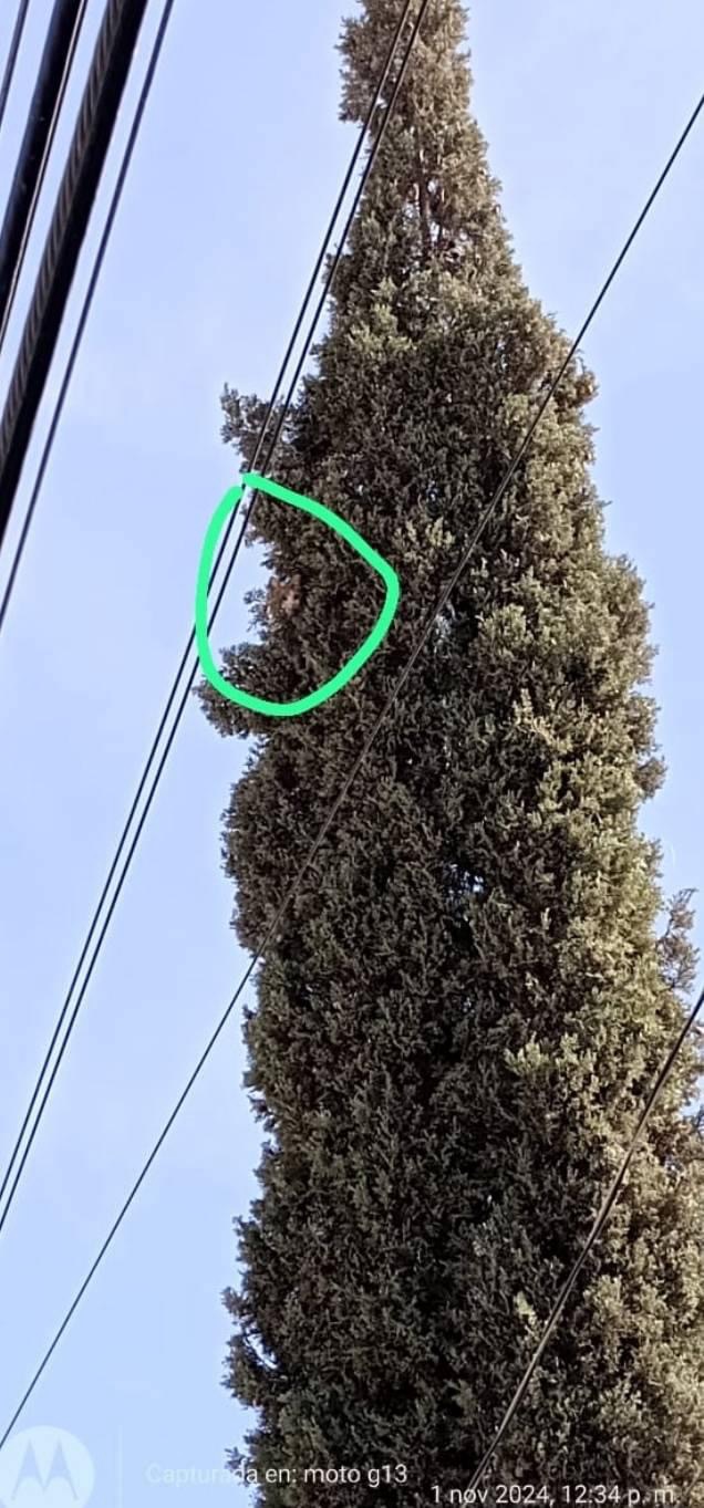 ¡LOS HEROES QUE JUÁREZ NECESITA!&nbsp;🚒🌟