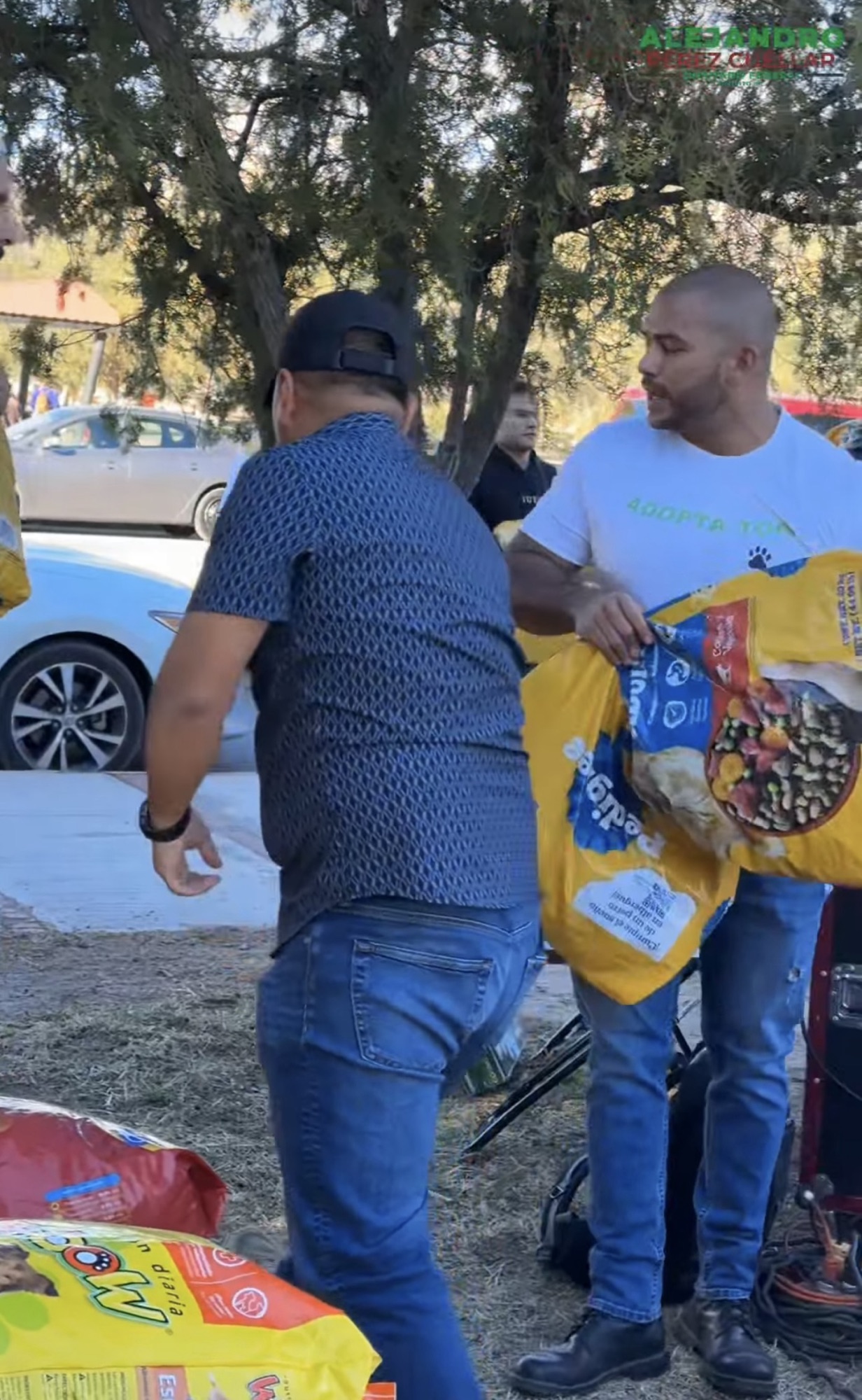 ¡TODO UN ÉXITO EL ADOPTA-TON!&nbsp;🤩❤️‍🩹🐶