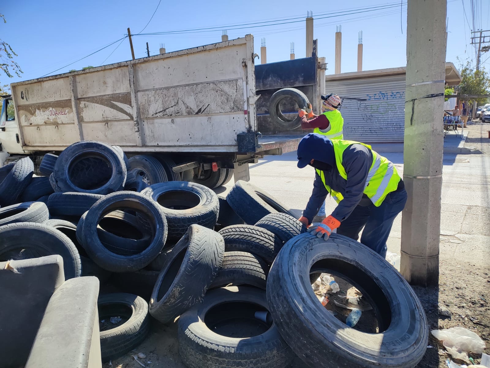UNA MANITA DE GATO EN LA COLONIA ZARAGOZA&nbsp;👏🏻👷🏻‍♂️