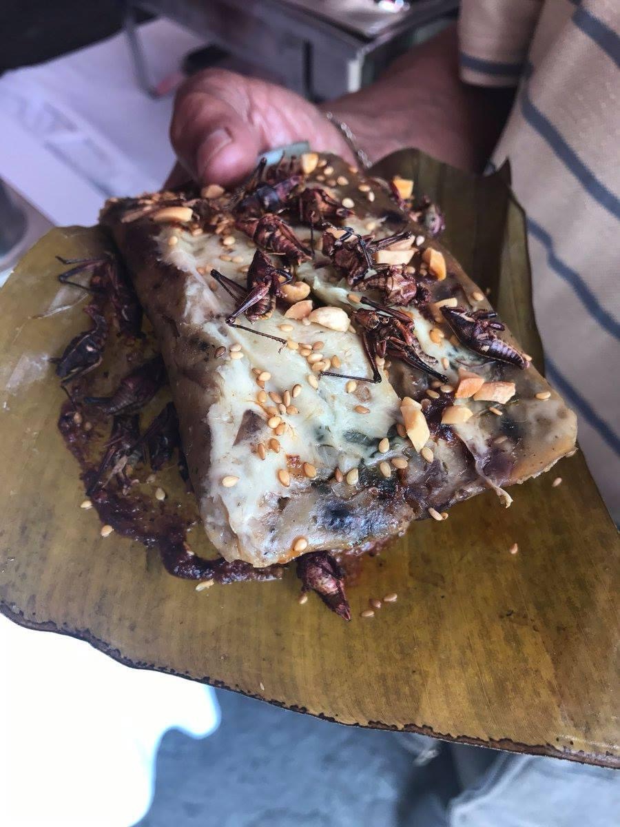 ¡LLEGÓ EL FESTIVAL GASTRONÓMICO DEL TAMAL A CD. JUÁREZ!😍🍴🫔