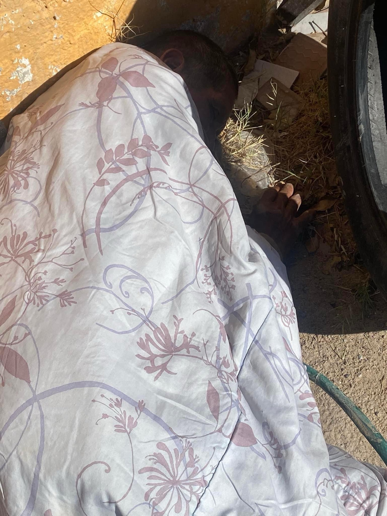 ¡ESTA EN SALVARCAR, NECESITA AYUDA! 🥺🙏