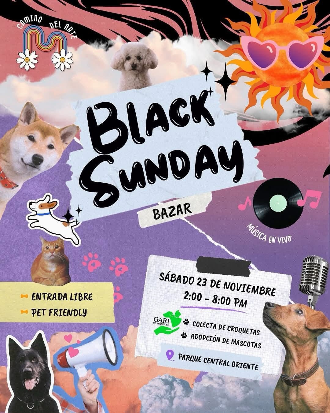 ¡TARDE DE LUJO, BAZAR Y ADOPCIONES EN PARQUE CENTRAL!&nbsp;🤩🙌🍭