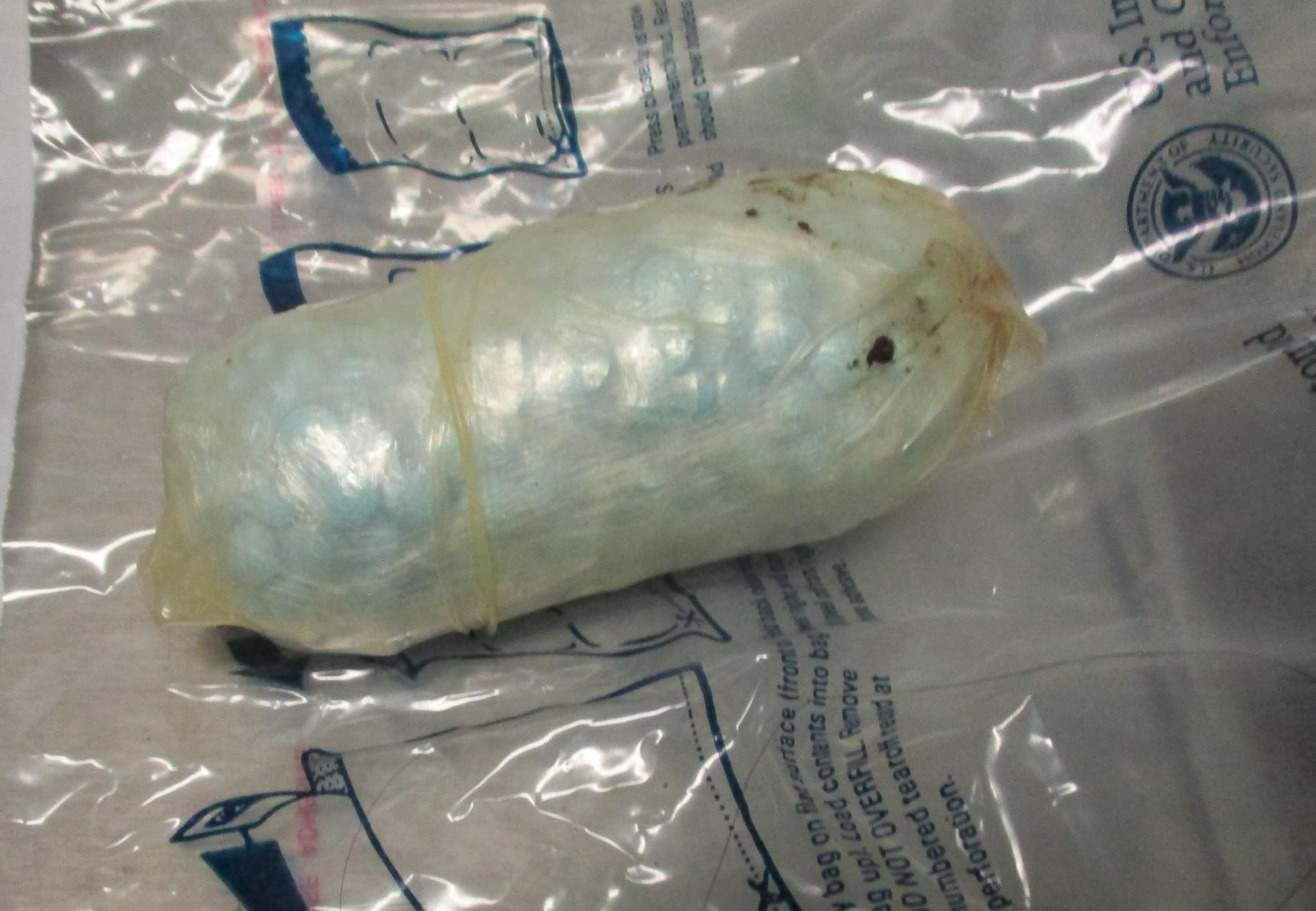 ¡PERRITO K9 DETECTA A 2 PERSONAS CON CLAVO EN EL PUENTE LIBRE!&nbsp;😱🐕🚨