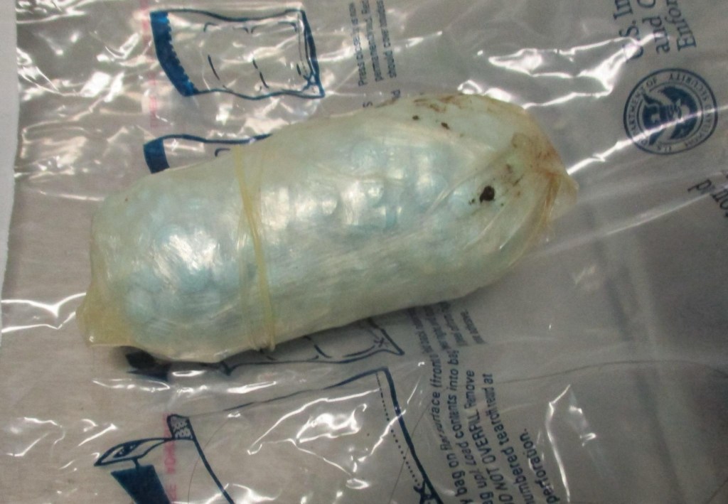 ¡PERRITO K9 DETECTA A 2 PERSONAS CON CLAVO EN EL PUENTE LIBRE!&nbsp;😱🐕🚨