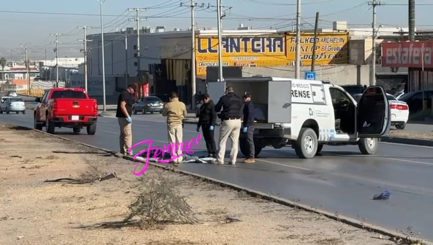 ¡ATROPELLAN ADULTO MAYOR EN LAS TORRES Y PIERDE LA VIDA! 😔🚨🕊️