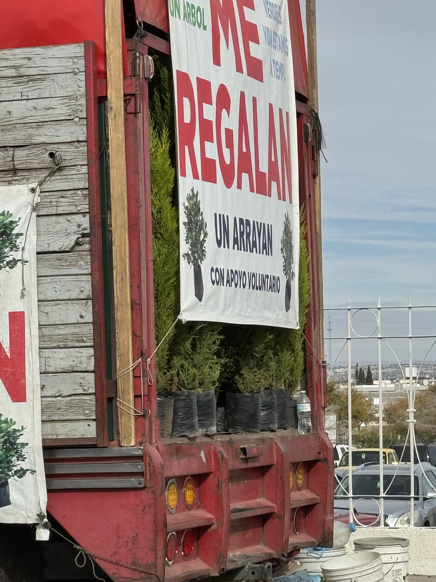 ¡ESTÁN REGALANDO ARBOLITOS!&nbsp;🤩🌳🌿