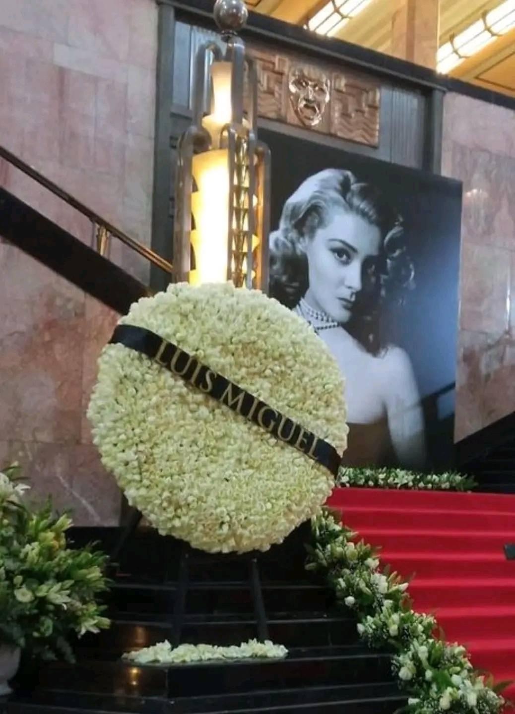 ¡QUIEREN FUNAR A LUIS MIGUEL! 😑😱