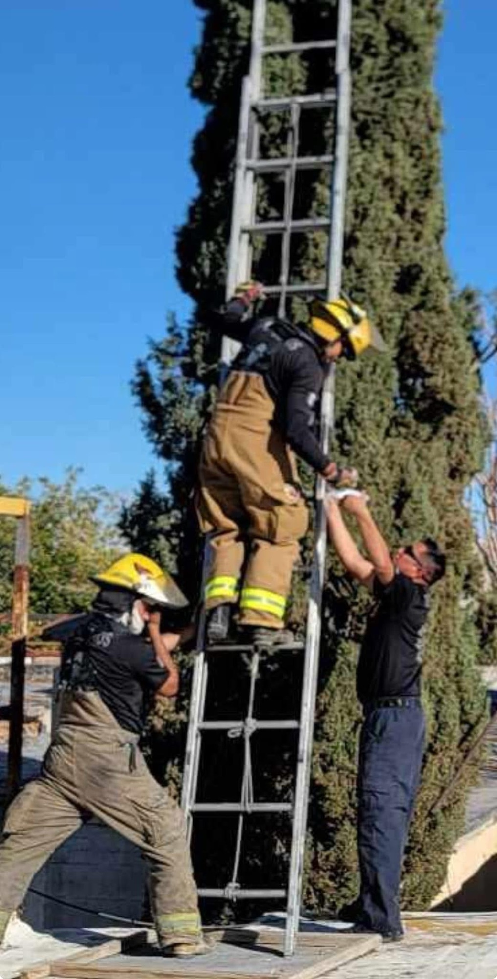 ¡BOMBEROS RESCATAN A MICHI EN PROBLEMAS! 🤩❤️🩹🐈🚒