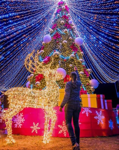 ¡MAÑANA COMIENZA EL FESTIVAL NAVIDEÑO EN CD JUÁREZ! ☃️🎉🎄🎅❄️🙌