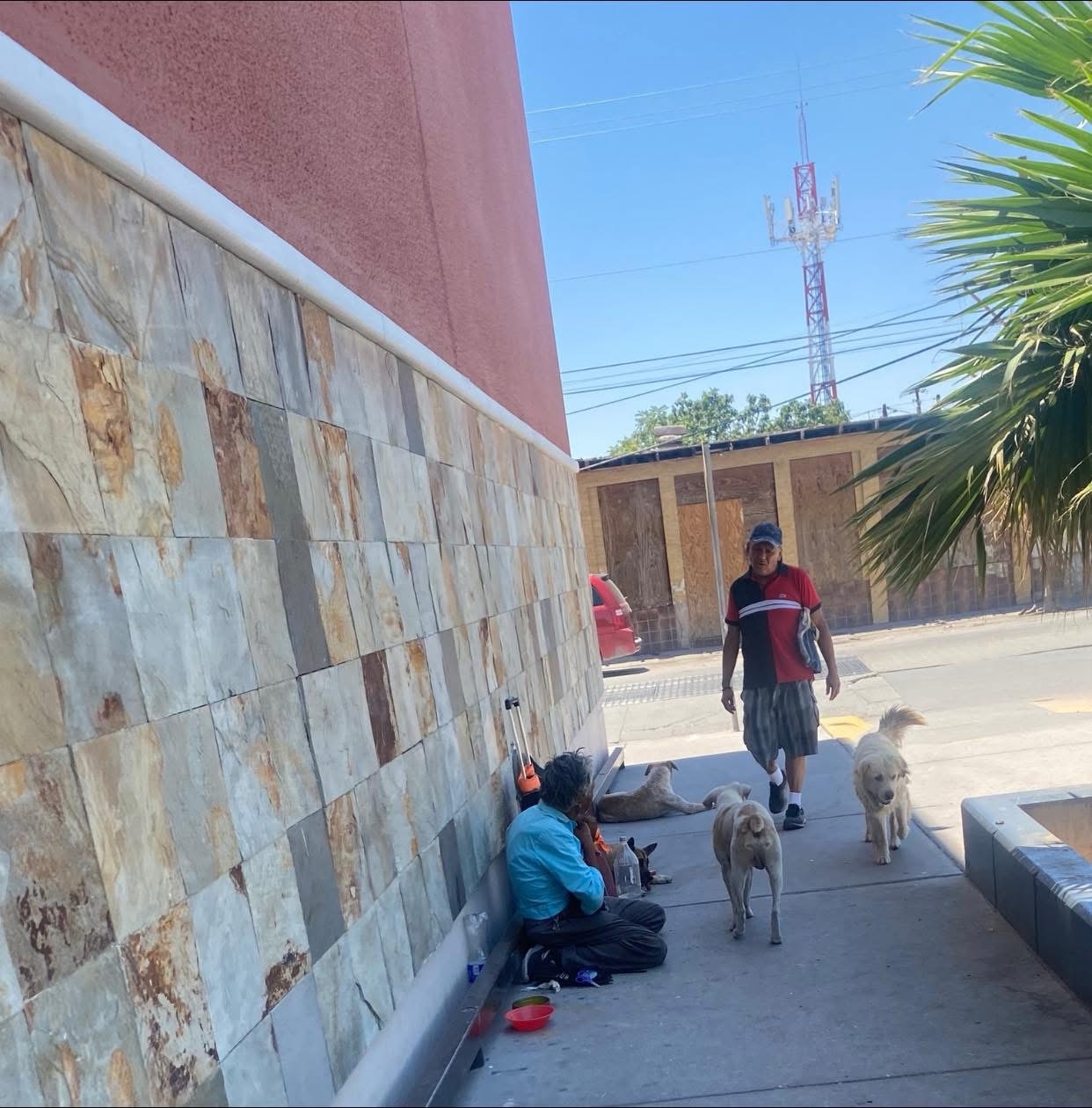 !ABUELITO CUIDA A SUS PERRITOS Y ELLOS LO CUIDAN A ÉL, VIVEN EN LA CALLE, AYUDEMOS! 🙏😢😭🐶❄️