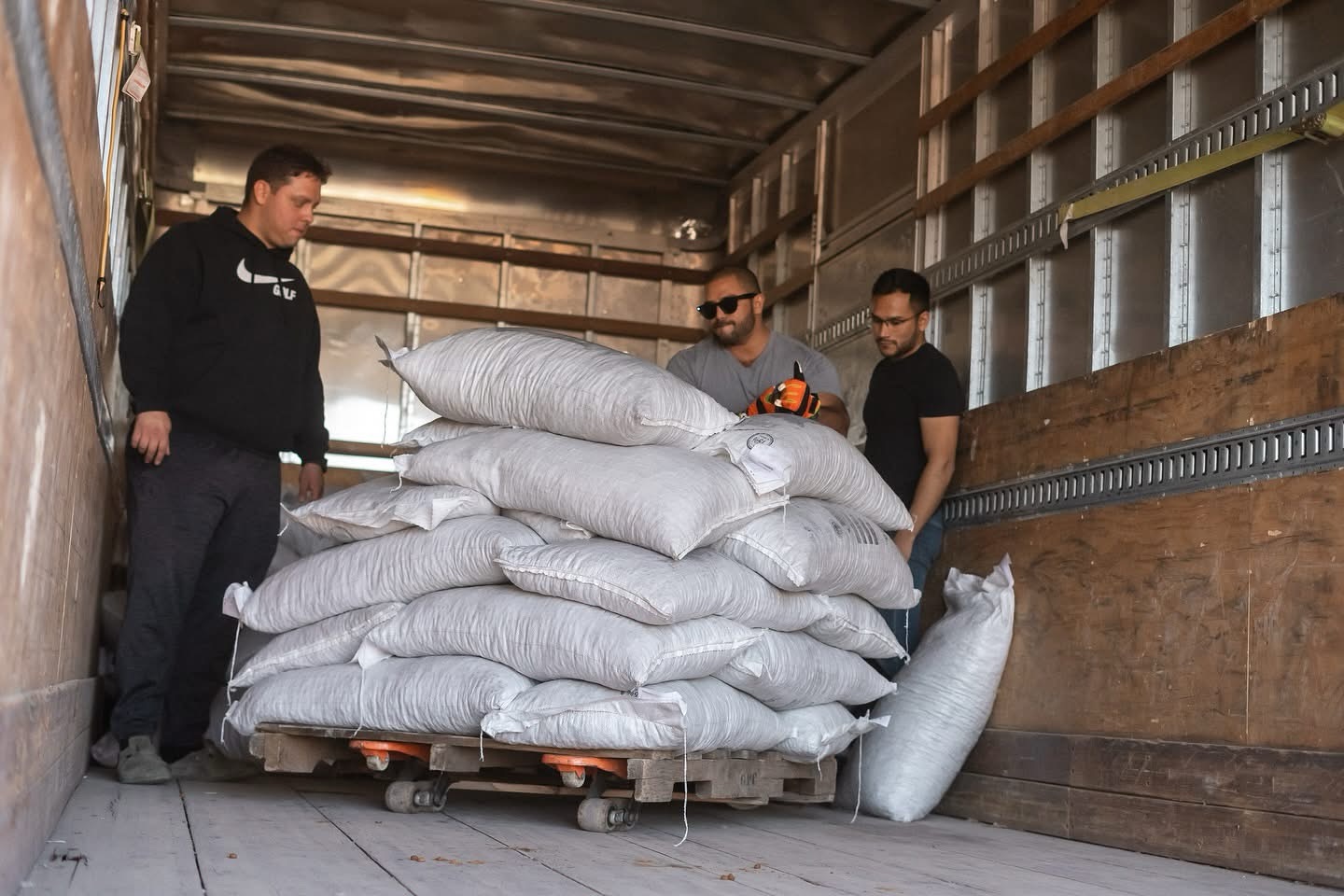 ¡EXCELENTE NOTICIA PARA LOS PERRITOS RESCATADOS DE LAS CALLES!&nbsp;🙌🐶❤️‍🩹