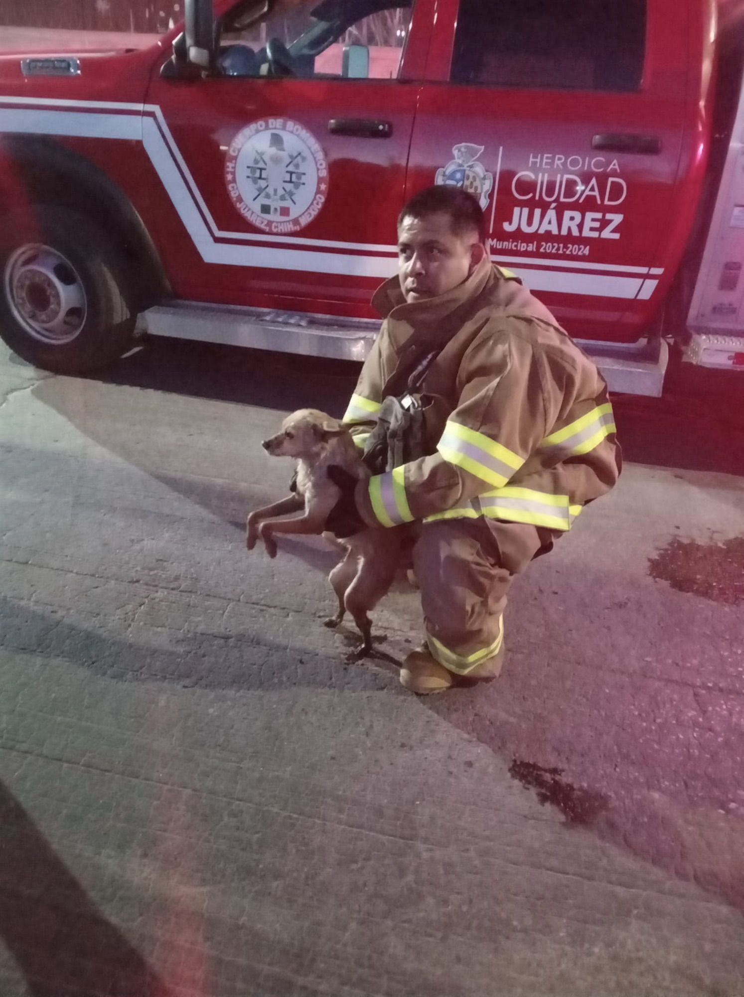¡BOMBEROS RESCATAN A PERRITO ATRAPADO EN ALCANTARILLA!&nbsp;🙌😭🐶🚒