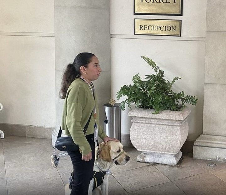 ¡SOLO IBA A LA POSADA CON SU PERRITO GUÍA Y NO LA DEJARON PASAR!&nbsp;🎄😭🐶