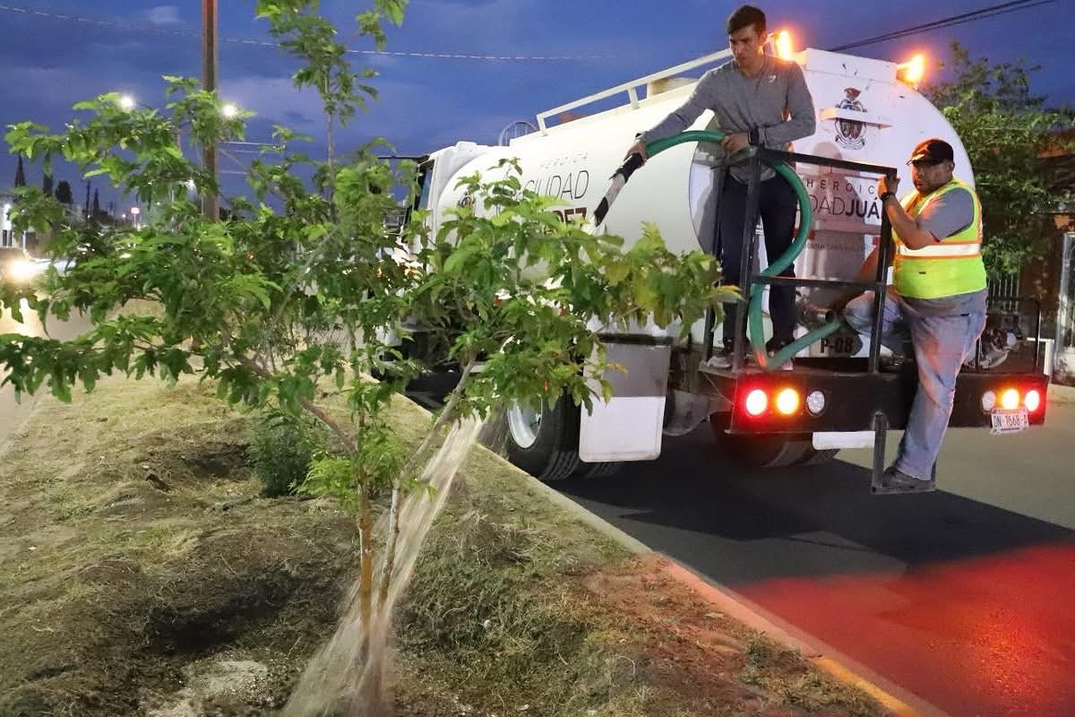 RIEGO URBANO EN TEMPORADA DE CALOR