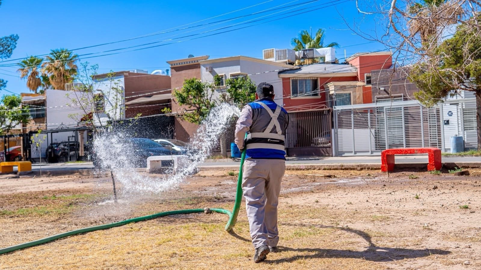 PARA QUE NO SE SEQUEN LOS ARBOLITOS DE SUS PARQUES
