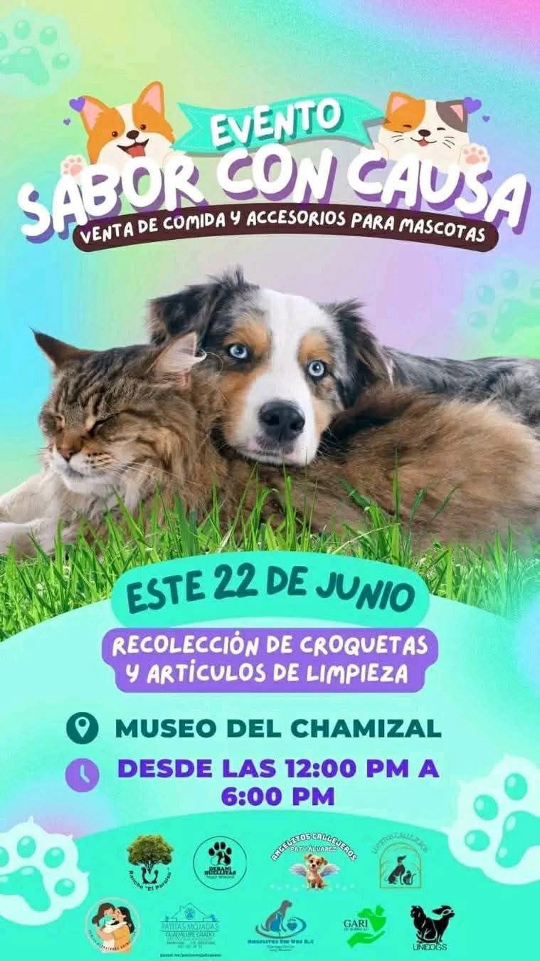 INVITAN A COMER Y AYUDAR A REFUGIOS DE&nbsp;MASCOTAS