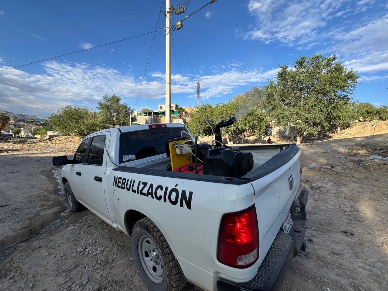 NEBULIZAN COLONIAS PARA COMBATIR INSECTOS