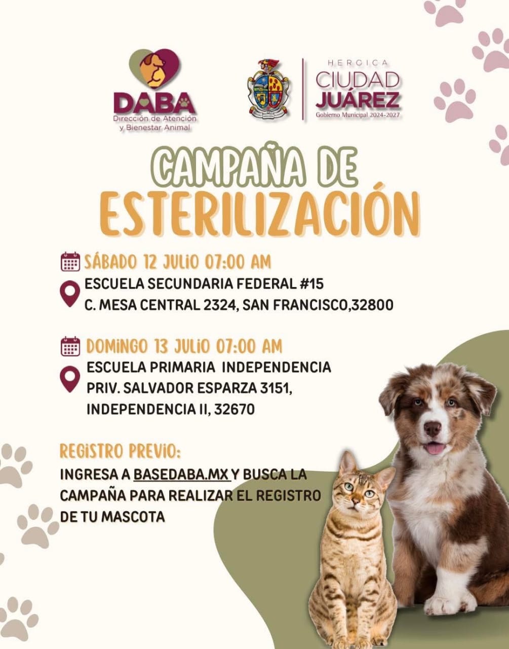 INVITAN A ESTERILIZAR MASCOTAS ESTE FIN DE SEMANA